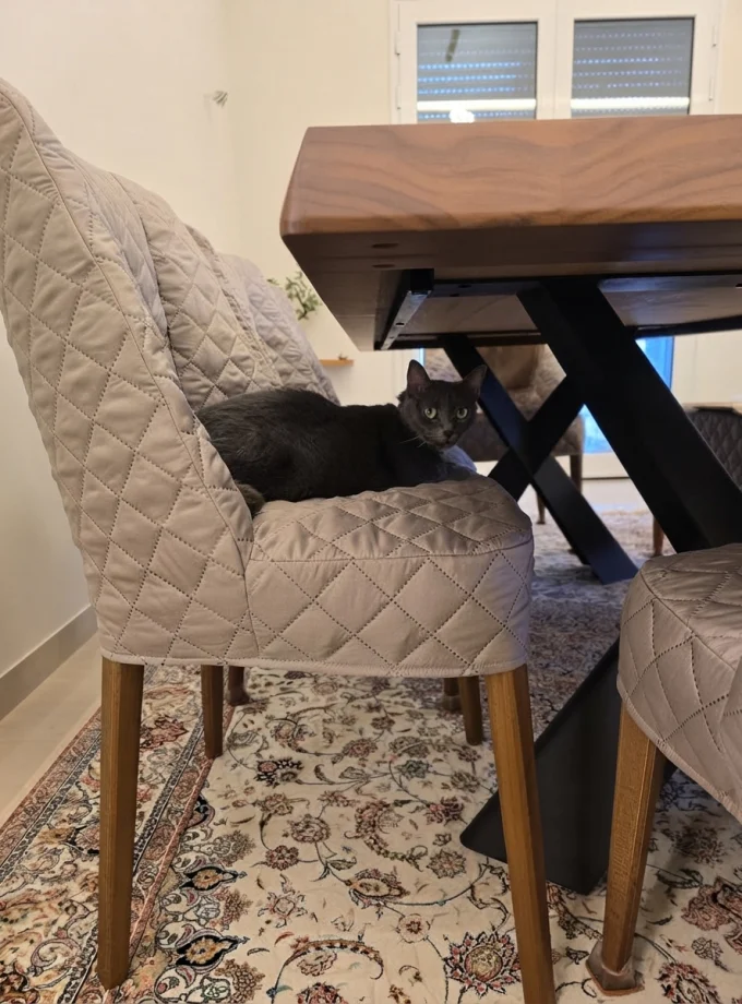 Housse Cache et Protège des Chaises